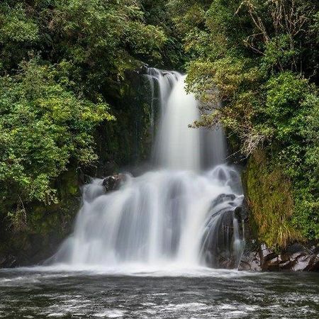 Blackfern Lodge Waimiha 외부 사진
