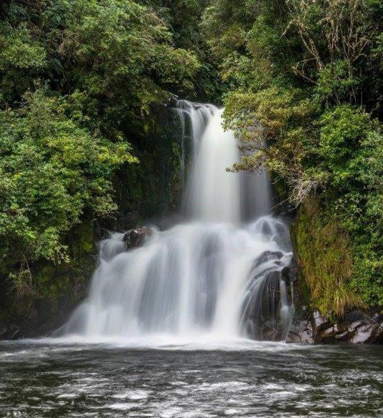 Blackfern Lodge Waimiha 외부 사진
